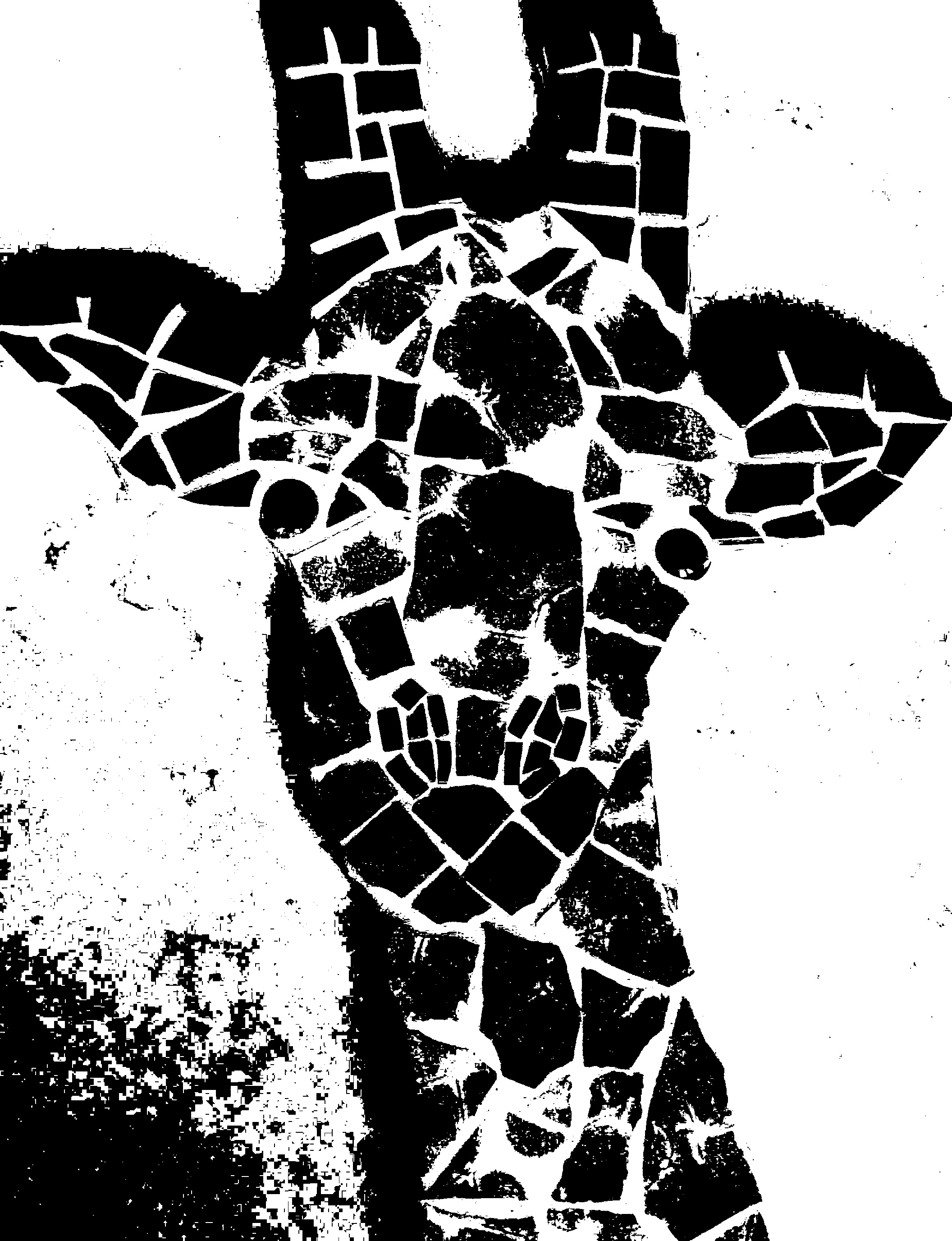 Plaatje bij antwoord