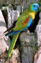 Plaatje bij antwoord