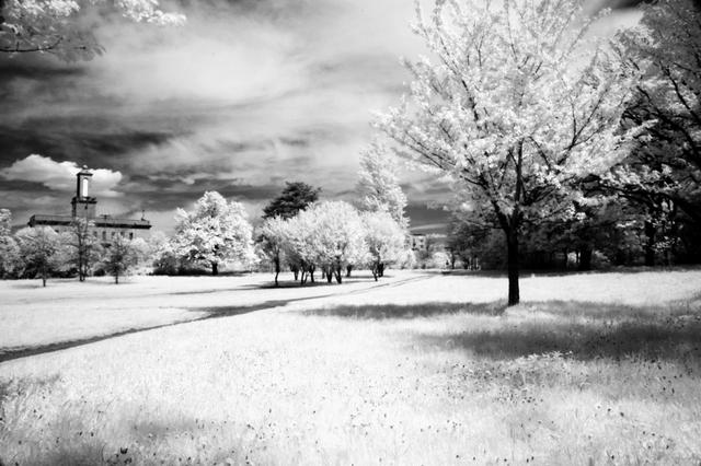 Plaatje bij antwoord