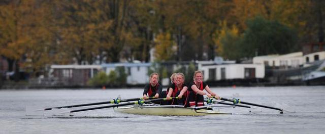 Picture for question