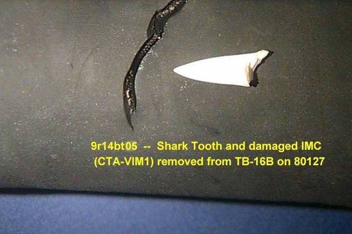 Plaatje bij antwoord