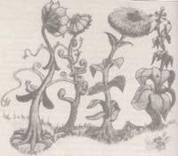 Plaatje bij antwoord