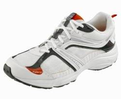 Picture for question