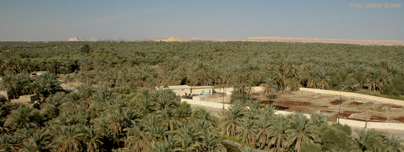 Plaatje bij antwoord