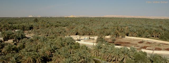 Plaatje bij antwoord