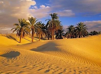 Picture for question