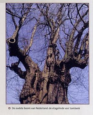 Plaatje bij antwoord