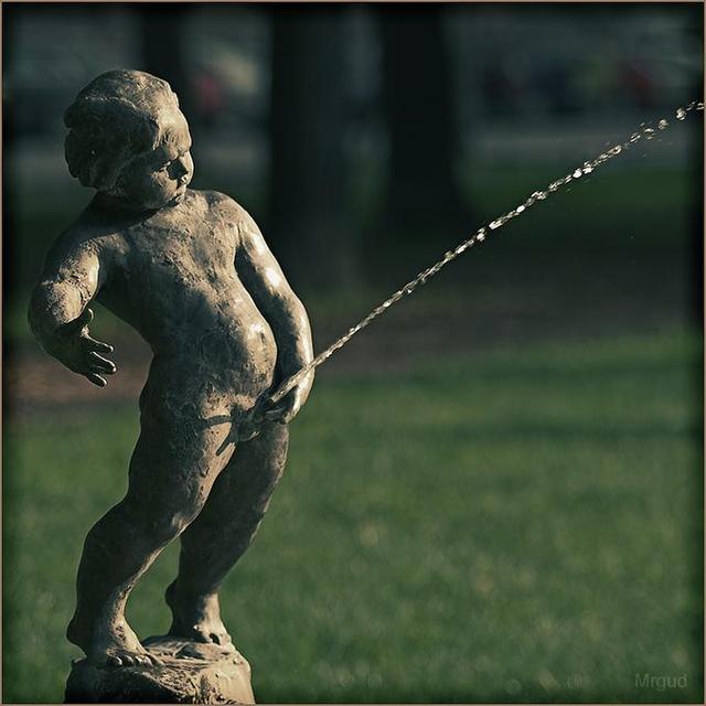 Picture for question