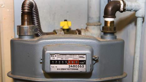 Picture for question