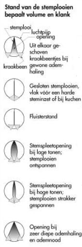 Plaatje bij antwoord