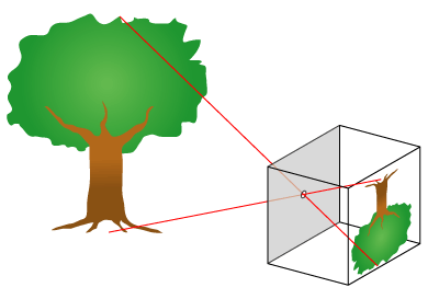 Plaatje bij antwoord