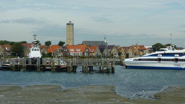 Picture for question