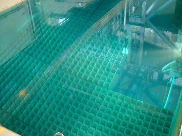 Picture for question