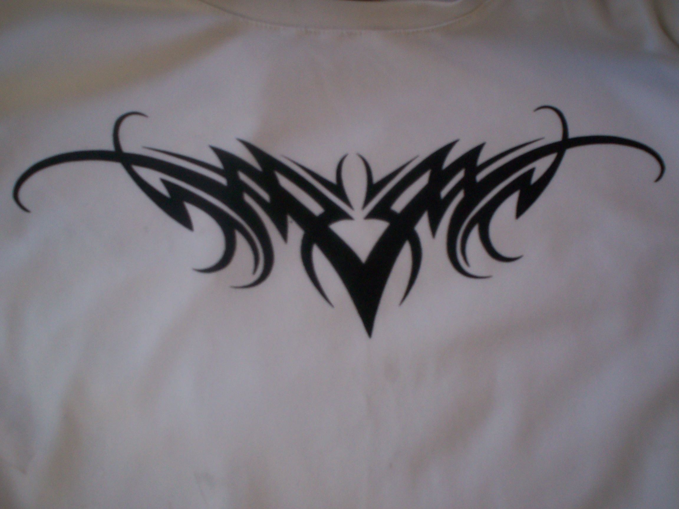 Picture for question