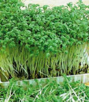 Plaatje bij antwoord