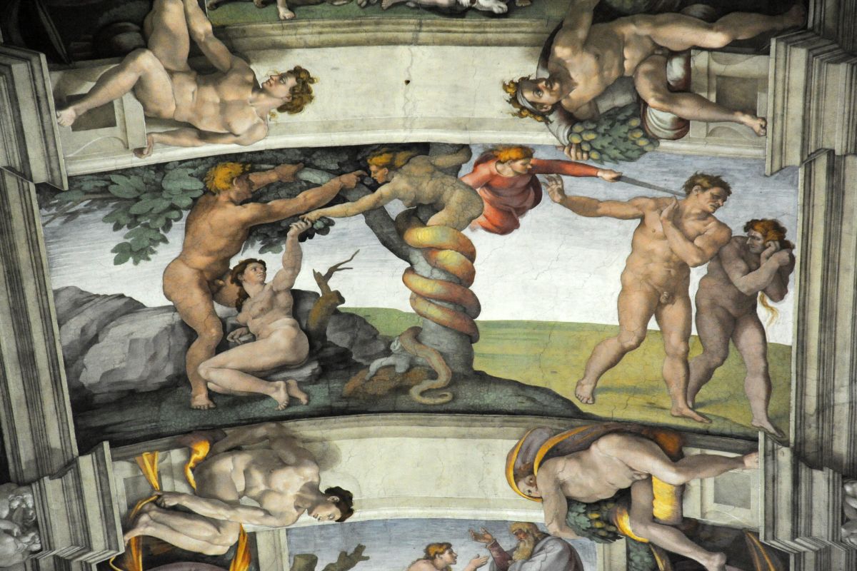 Picture for question