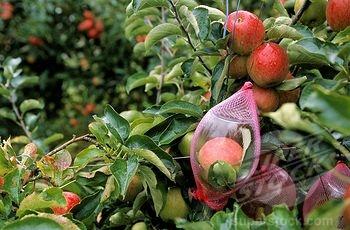 Plaatje bij antwoord