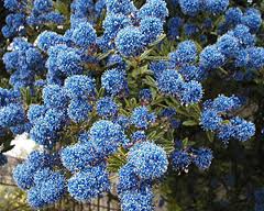 Plaatje bij antwoord