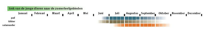 Plaatje bij antwoord