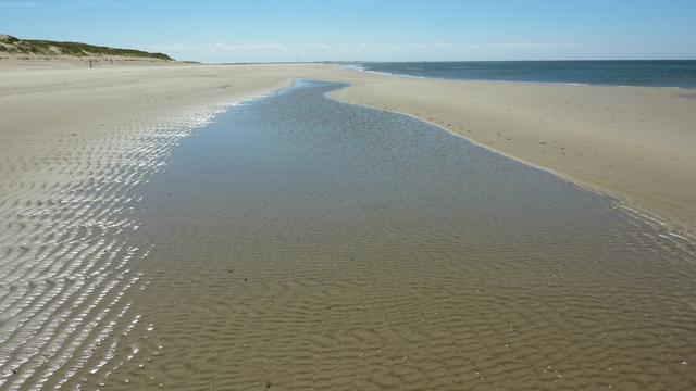 Plaatje bij antwoord