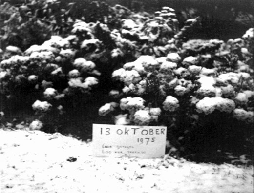 Plaatje bij antwoord