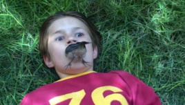 Plaatje bij antwoord