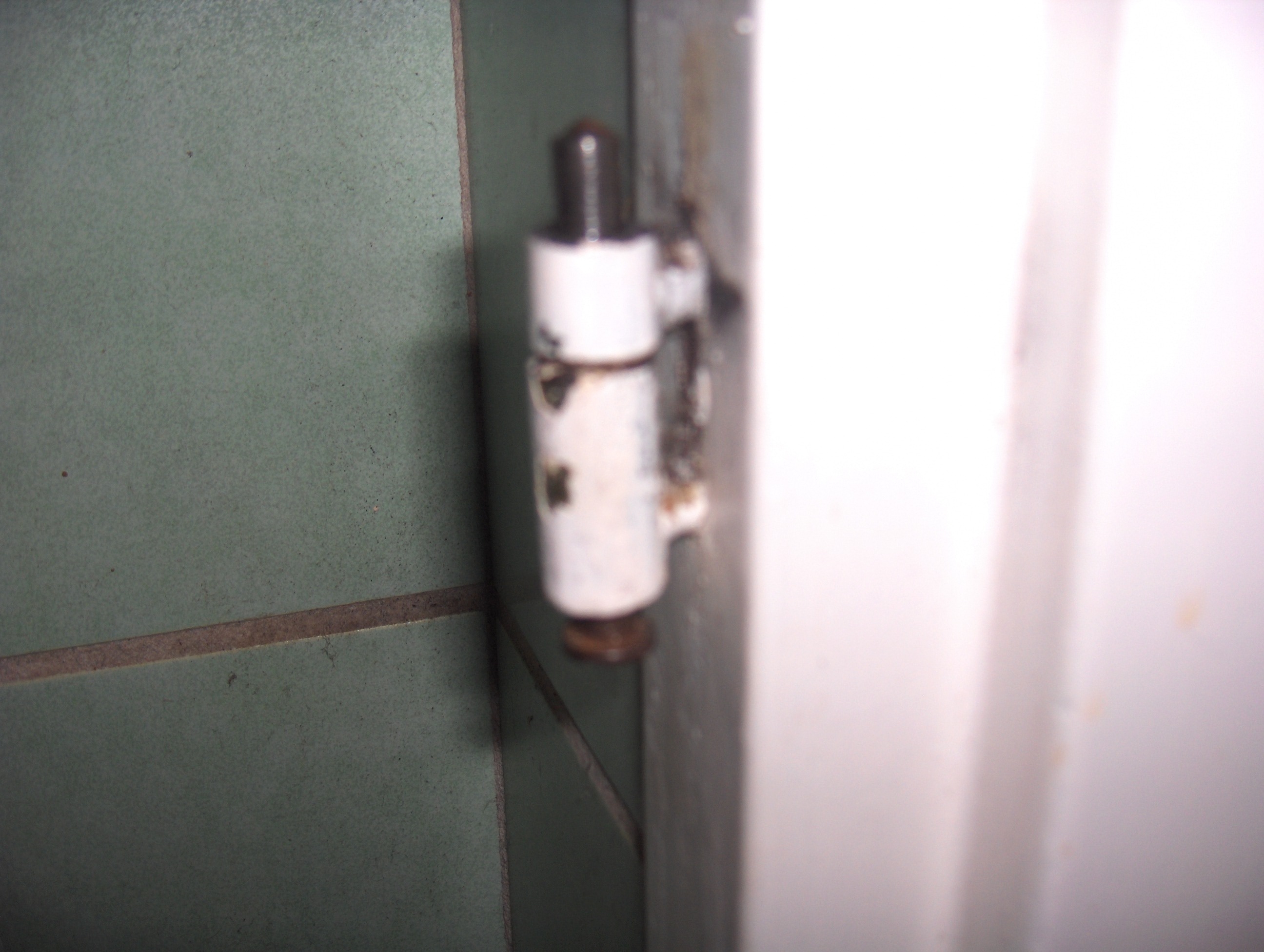 Picture for question