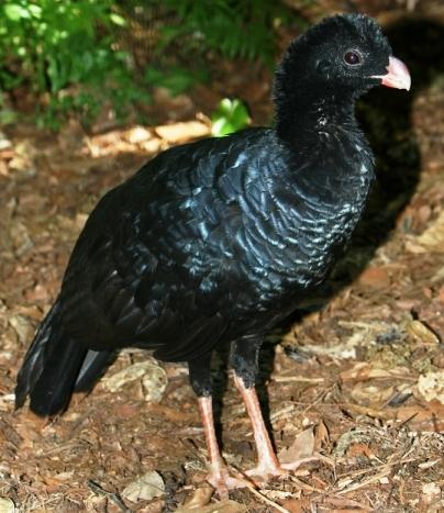 Plaatje bij antwoord