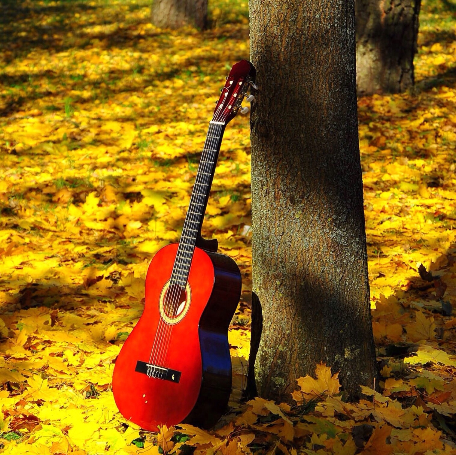 Plaatje bij antwoord