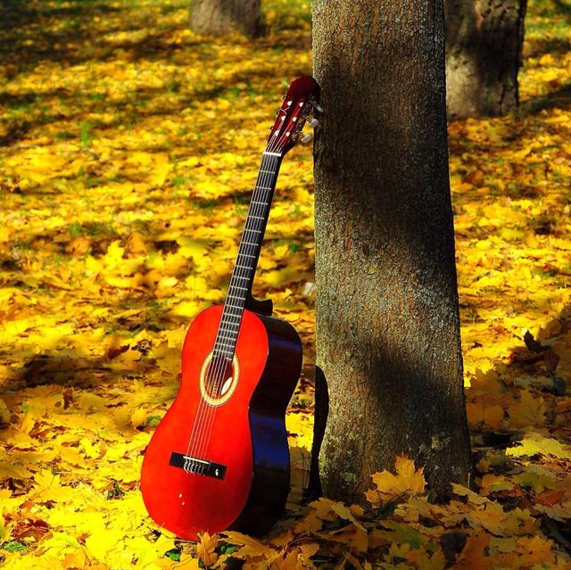 Plaatje bij antwoord