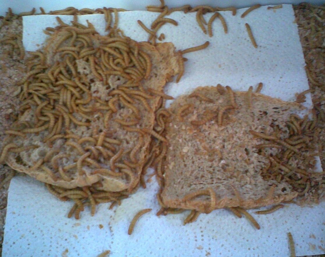 Plaatje bij antwoord