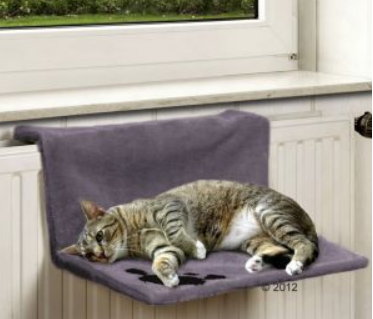 Plaatje bij antwoord