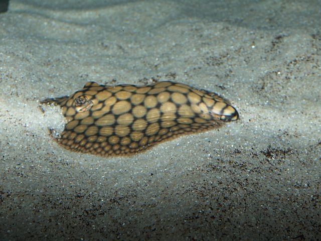 Plaatje bij antwoord