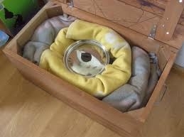 Plaatje bij antwoord