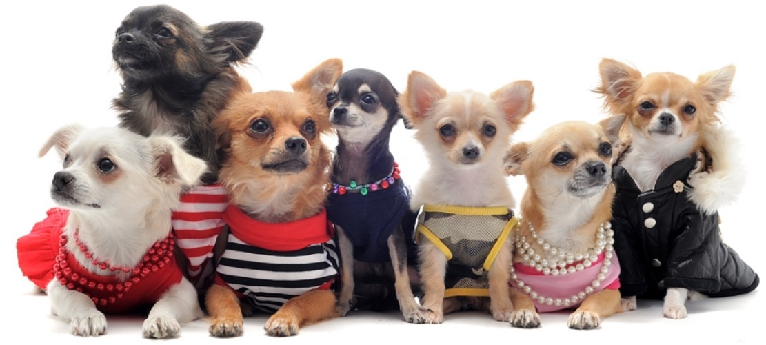 Plaatje bij antwoord