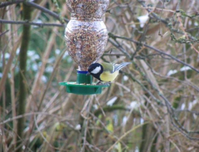 Plaatje bij antwoord
