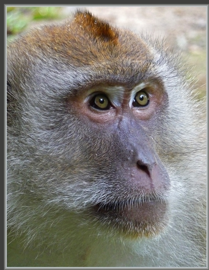 Plaatje bij antwoord