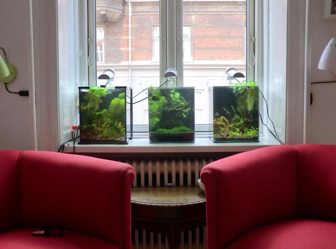 Plaatje bij antwoord