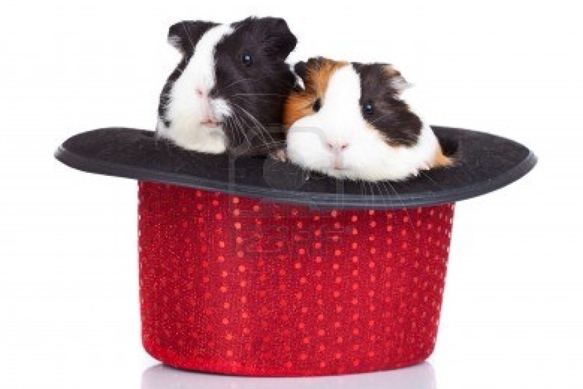 Plaatje bij antwoord