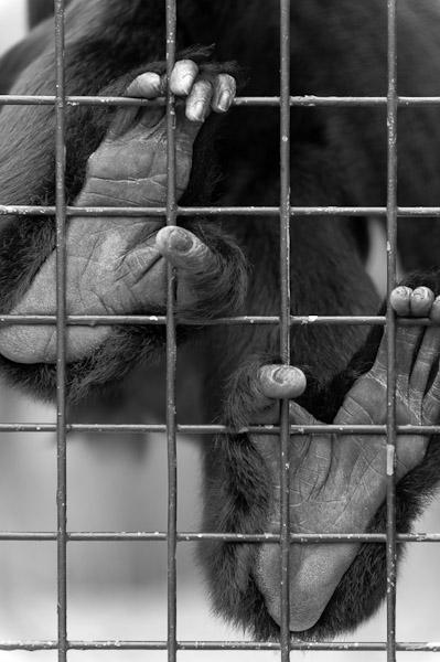 Picture for question