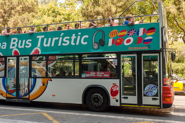 Picture for question