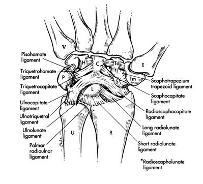 Plaatje bij antwoord
