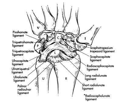 Plaatje bij antwoord