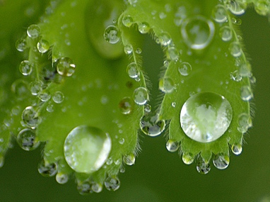 Plaatje bij antwoord