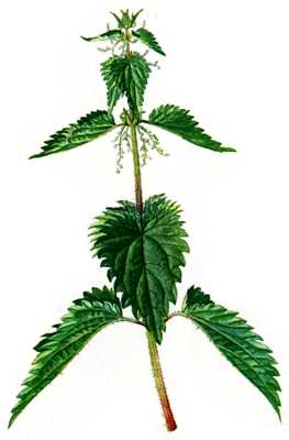 Plaatje bij antwoord