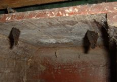 Plaatje bij antwoord