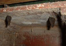 Plaatje bij antwoord