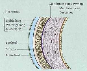 Plaatje bij antwoord