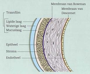 Plaatje bij antwoord