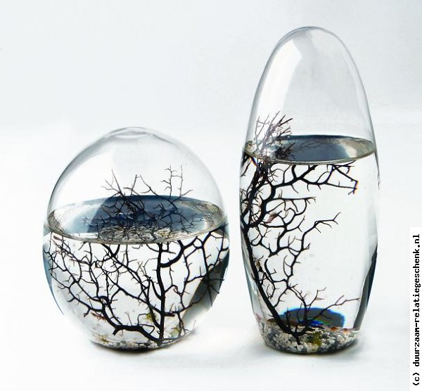 Plaatje bij antwoord